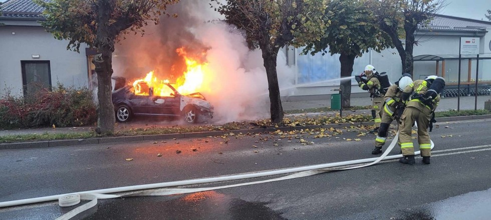 Pożar osobówki w Nowym Stawie i uwięziona sowa – tygodniowy raport malborskich służb mundurowych.