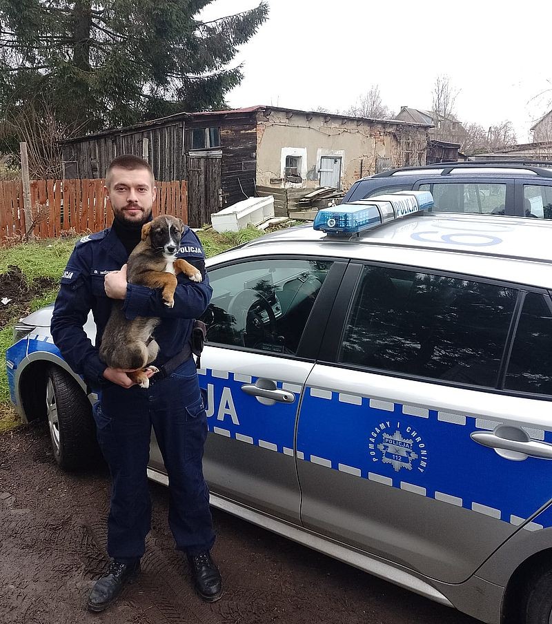 Nowy Staw. Policjant przygarnął porzuconego psa.