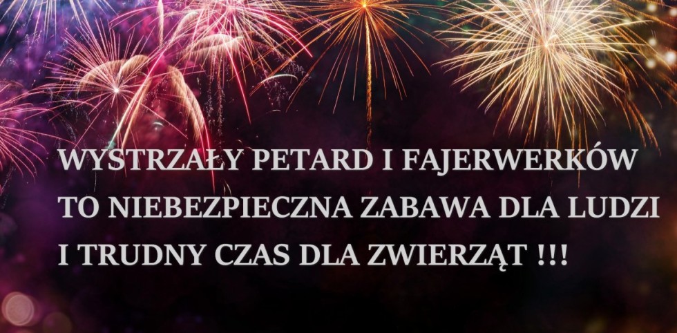 Nowy Dwór Gdański. Policjanci ostrzegają – wystrzał petard i fajerwerków to niebezpieczna zabawa dla ludzi i trudny czas dla zwierząt.