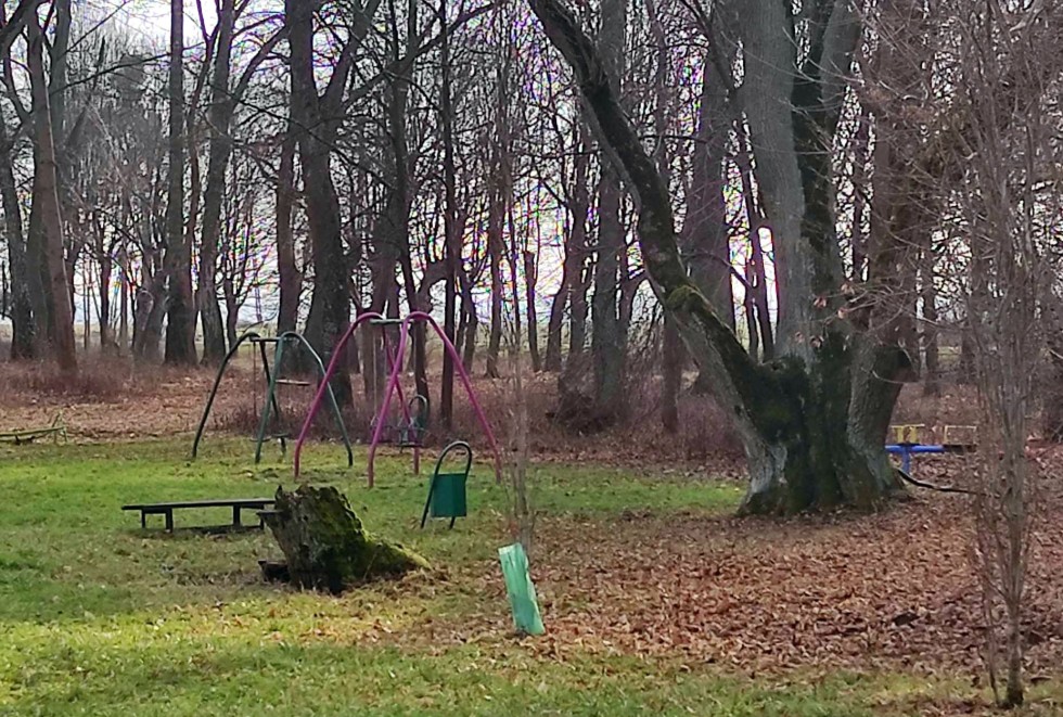 Gmina Stare Pole. Wkrótce park w Krzyżanowie zmieni swoje oblicze.