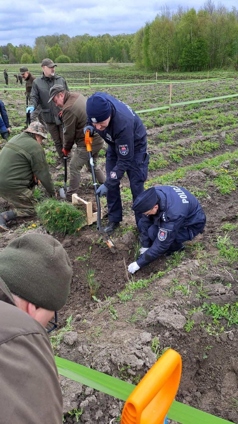 Sztumscy policjanci sadzili drzewa na terenie Gminy Kwidzyn.
