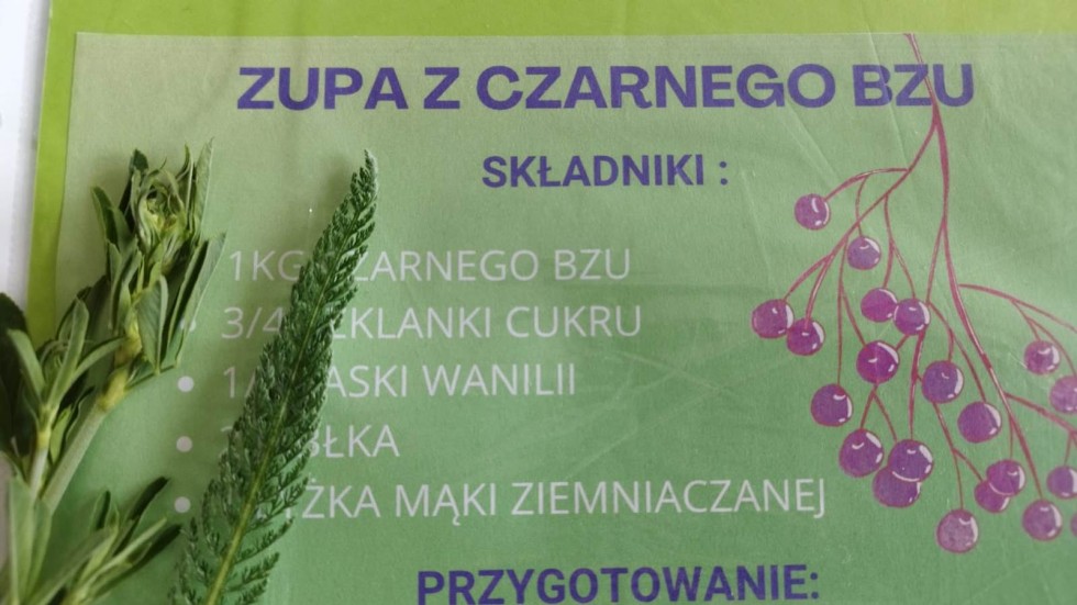 Malbork. Ekologiczne działania uczniów Technikum nr 3.