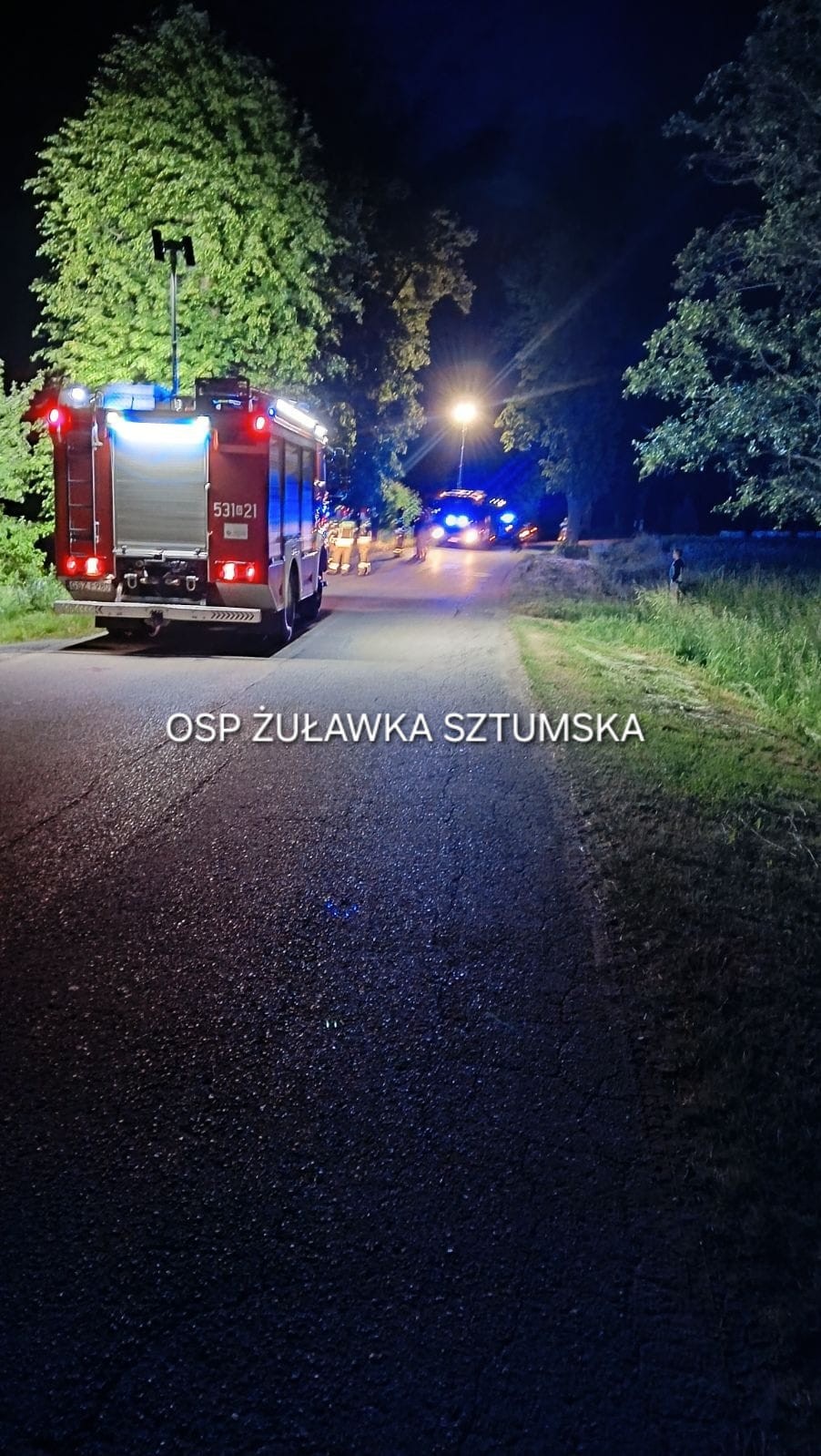 Powiat sztumski. Osobówką w drzewo – młoda kobieta trafiła do szpitala.