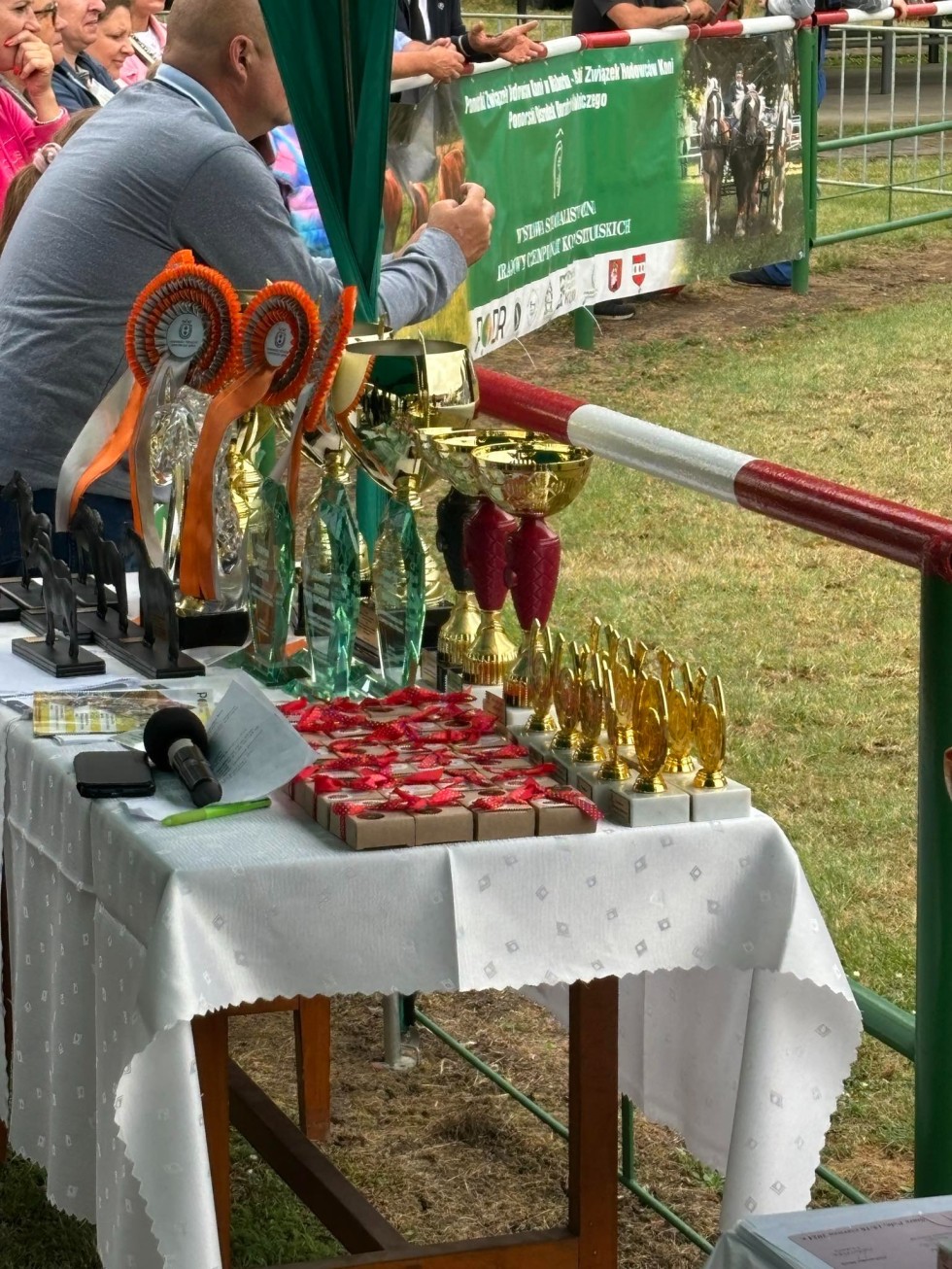 Stare Pole. Najlepsi hodowcy koni nagrodzeni przez Starostów Powiatu Malborskiego i Sztumskiego.