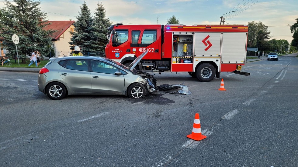 Kolizje drogowe, pożary i owady błonkoskrzydłe – tygodniowy raport malborskich służb mundurowych.