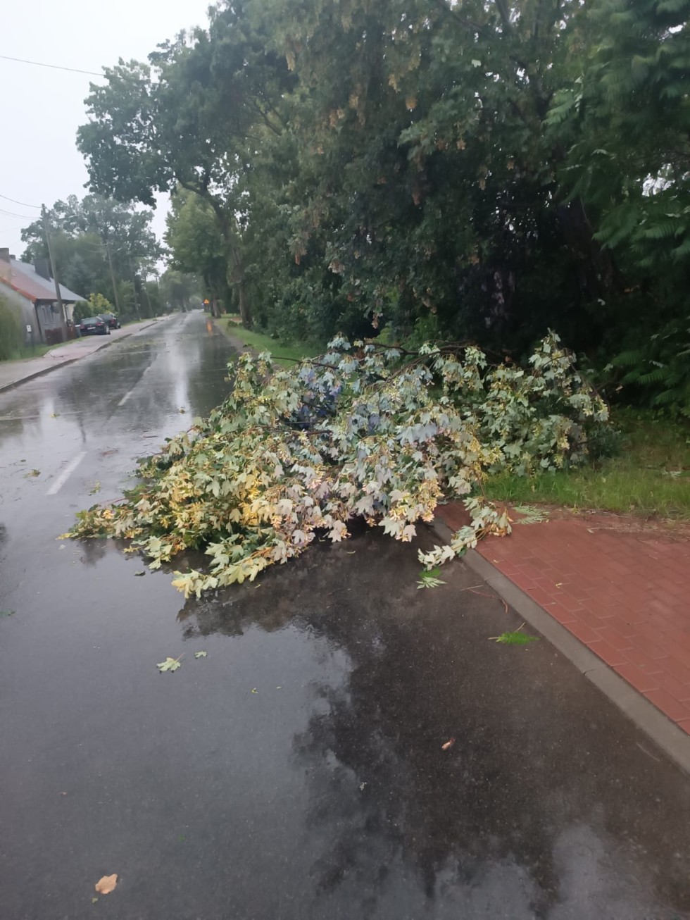 Powiat malborski. Usuwanie skutków porywistych wiatrów.