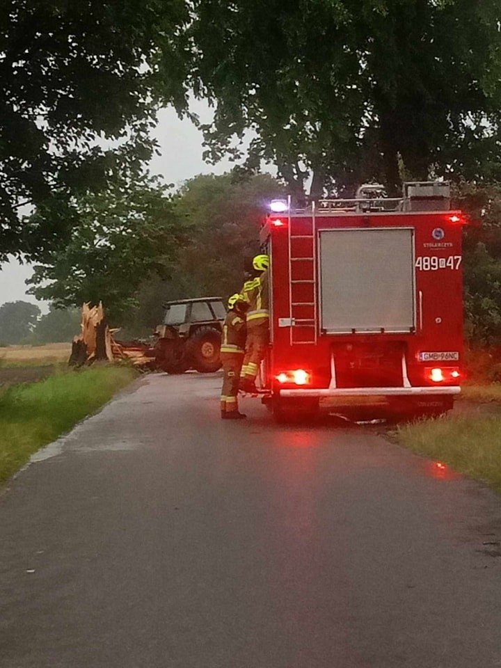 Powiat malborski. Usuwanie skutków porywistych wiatrów.