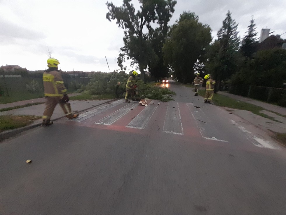 Powiat malborski. Usuwanie skutków porywistych wiatrów.