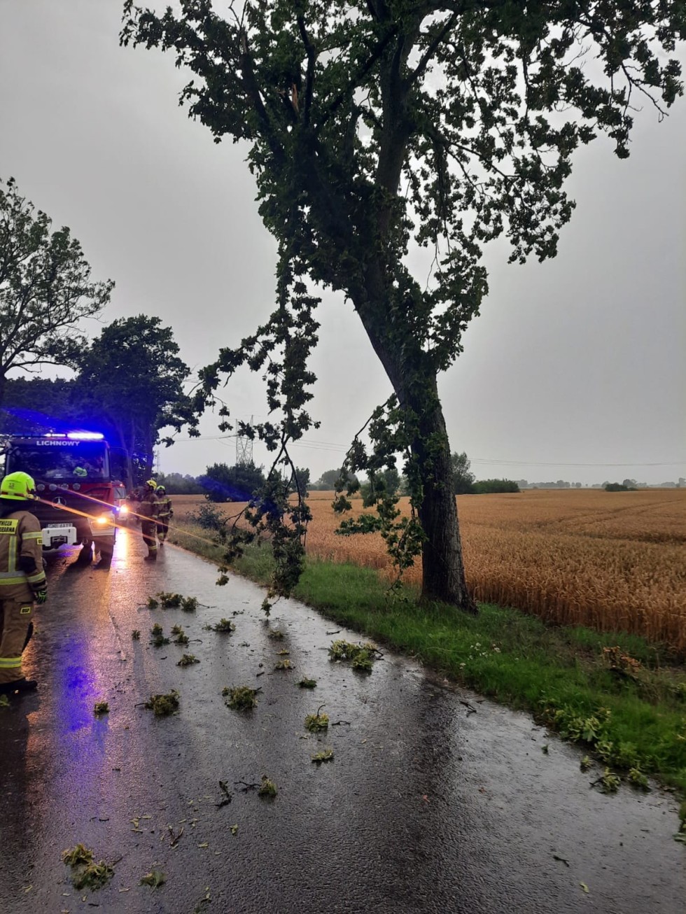 Powiat malborski. Usuwanie skutków porywistych wiatrów.