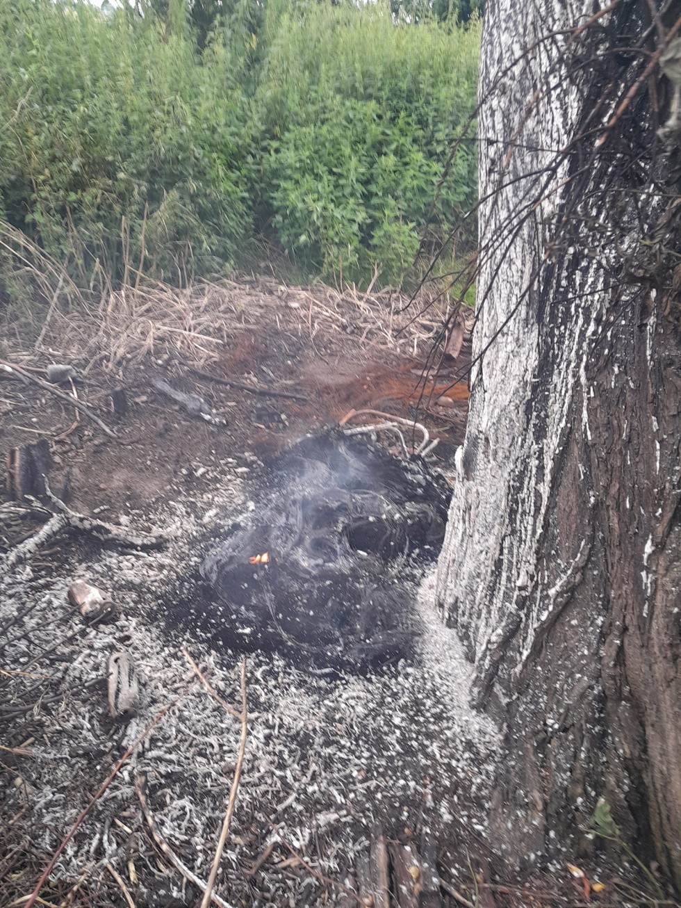 Usuwanie skutków burzy i śmiertelny wypadek w Kraśniewie – tygodniowy raport malborskich służb mundurowych.