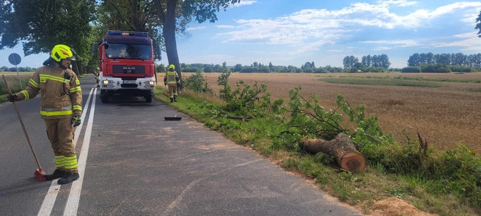 Usuwanie skutków burzy i śmiertelny wypadek w Kraśniewie – tygodniowy raport malborskich służb mundurowych.