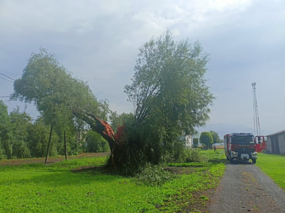 Usuwanie skutków burzy i śmiertelny wypadek w Kraśniewie – tygodniowy raport malborskich służb mundurowych.