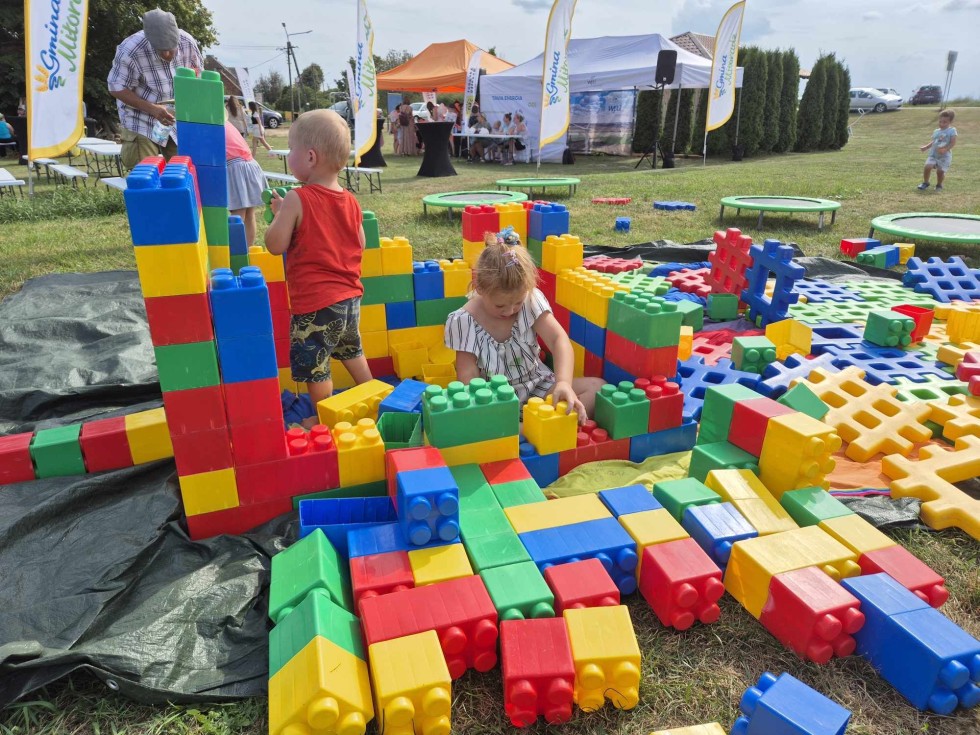 Za nami wakacyjne pikniki rodzinne w Pogorzałej Wsi i Mątowach Małych.