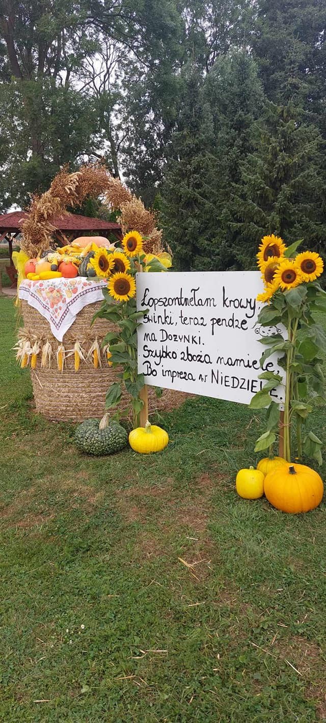 Gmina Nowy Staw. Kto wygra w konkursie na najładniejszą Dożynkową Zagrodę?