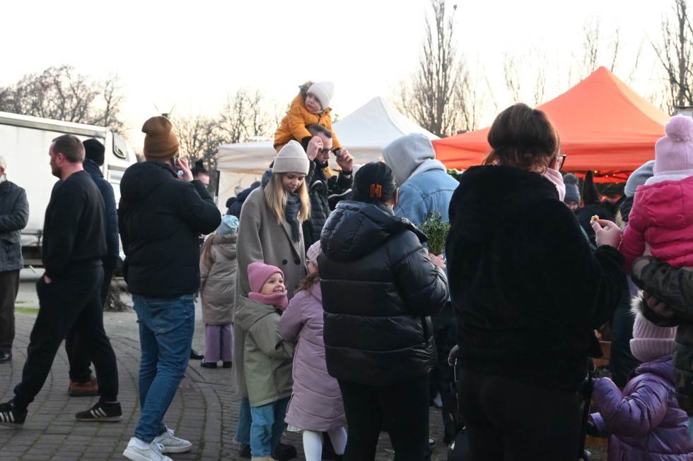 Tak bawili się mieszkańcy podczas Wigilii Powiatowej w Nowym Dworze Gdańskim. Zdjęcia