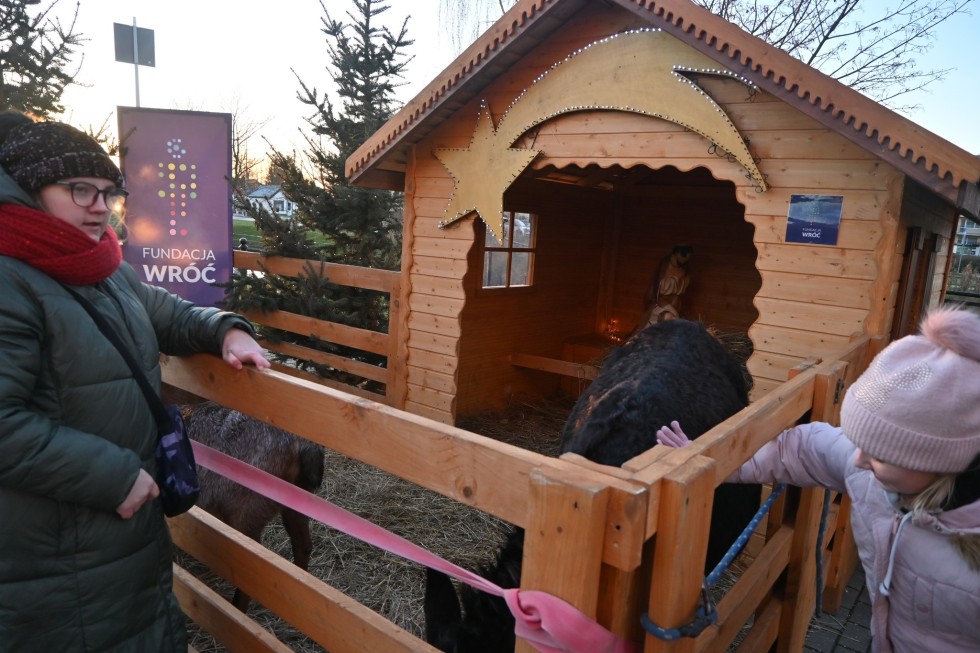 Tak bawili się mieszkańcy podczas Wigilii Powiatowej w Nowym Dworze Gdańskim. Zdjęcia
