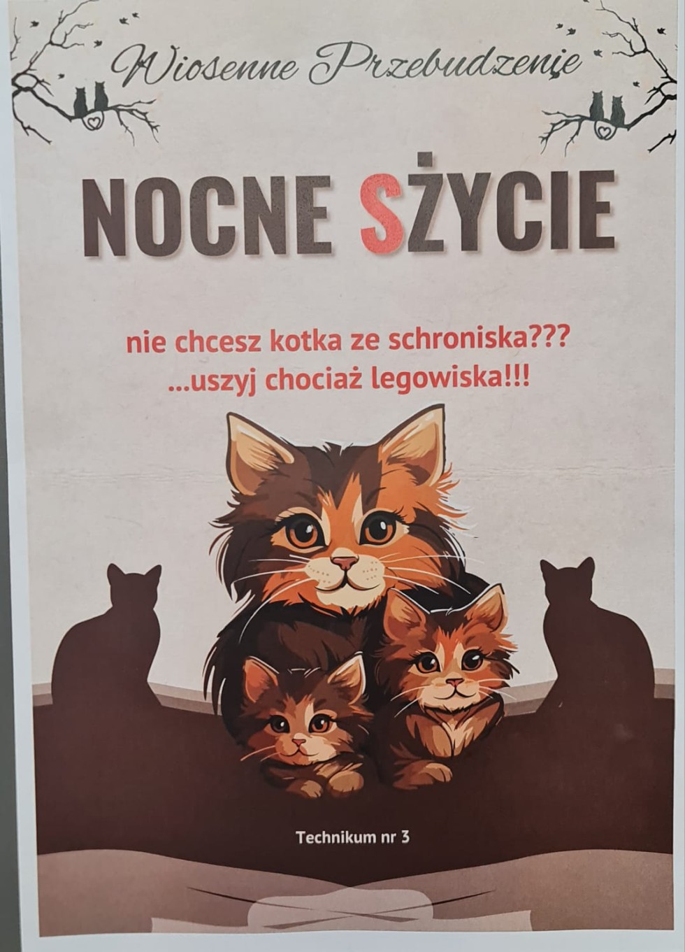 Uczniowie Technikum nr 3 wspomogli malborskiego REKSa – uszyli legowiska dla kotów.