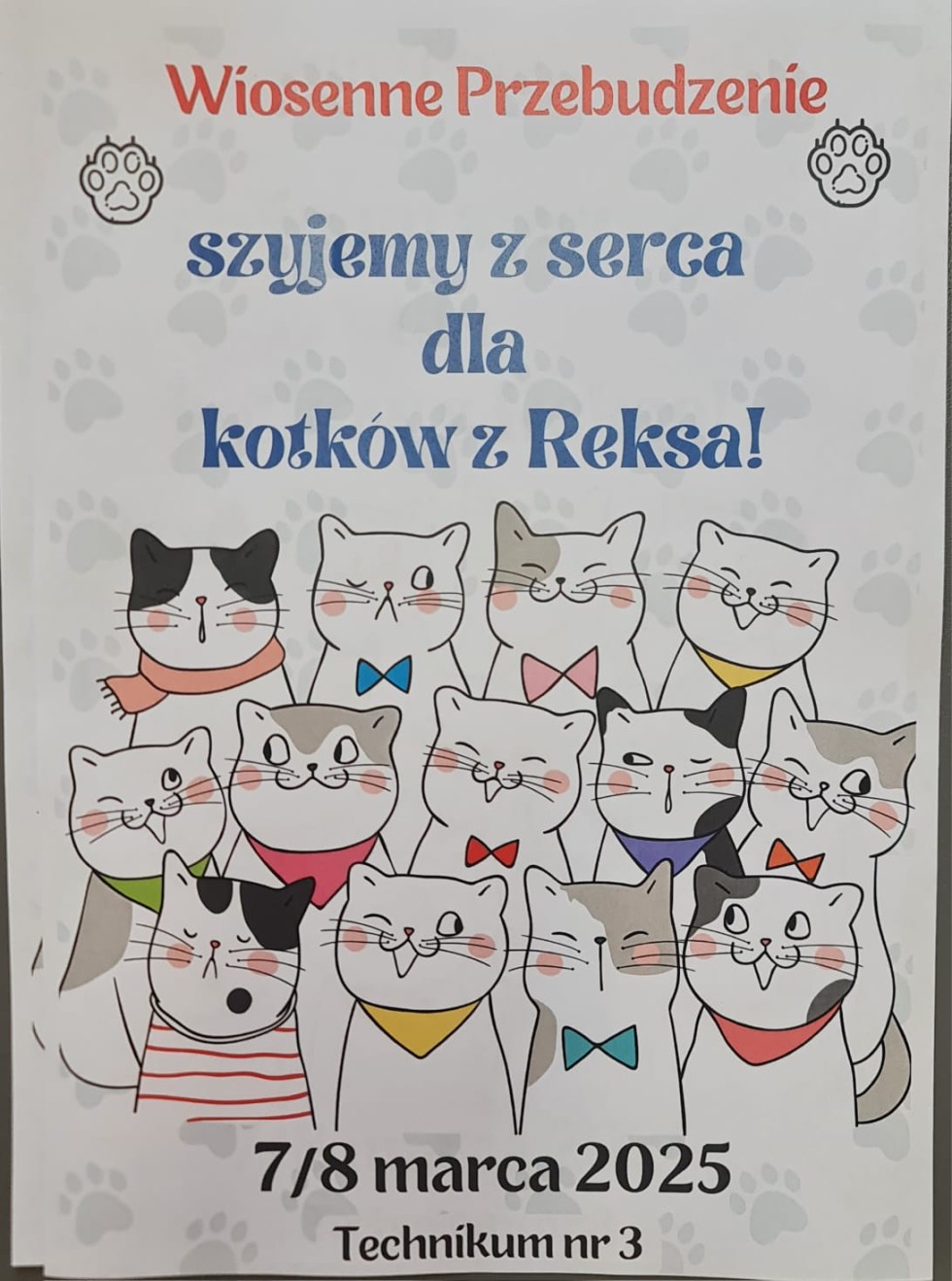 Uczniowie Technikum nr 3 wspomogli malborskiego REKSa – uszyli legowiska dla kotów.