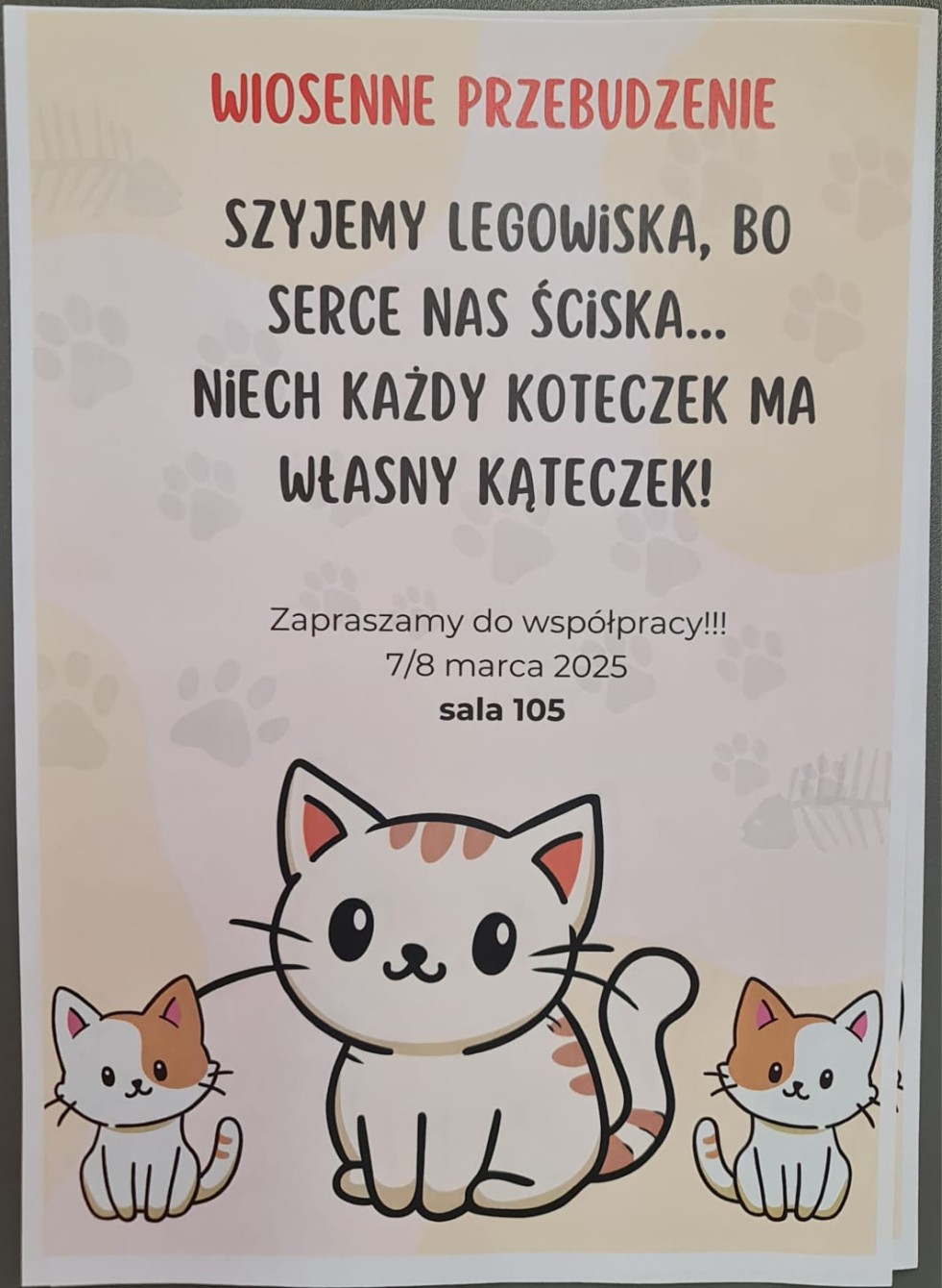 Uczniowie Technikum nr 3 wspomogli malborskiego REKSa – uszyli legowiska dla kotów.