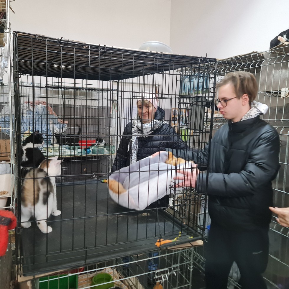 Uczniowie Technikum nr 3 wspomogli malborskiego REKSa – uszyli legowiska dla kotów.