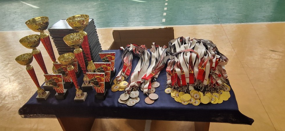 Halowe Dziecięce Zawody Sportowo-Pożarnicze w Sztutowie.